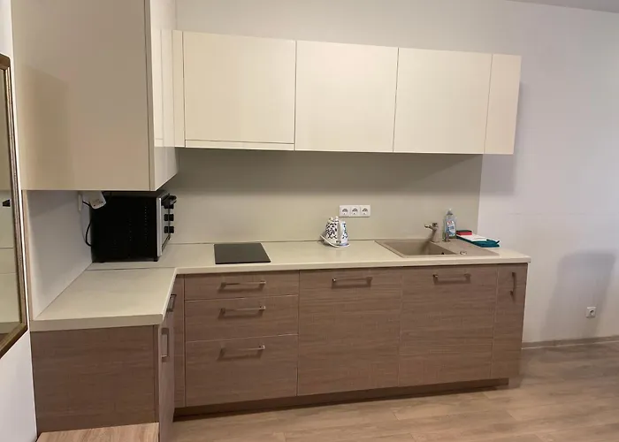 Apartamentai Su Meile * פלאנגה